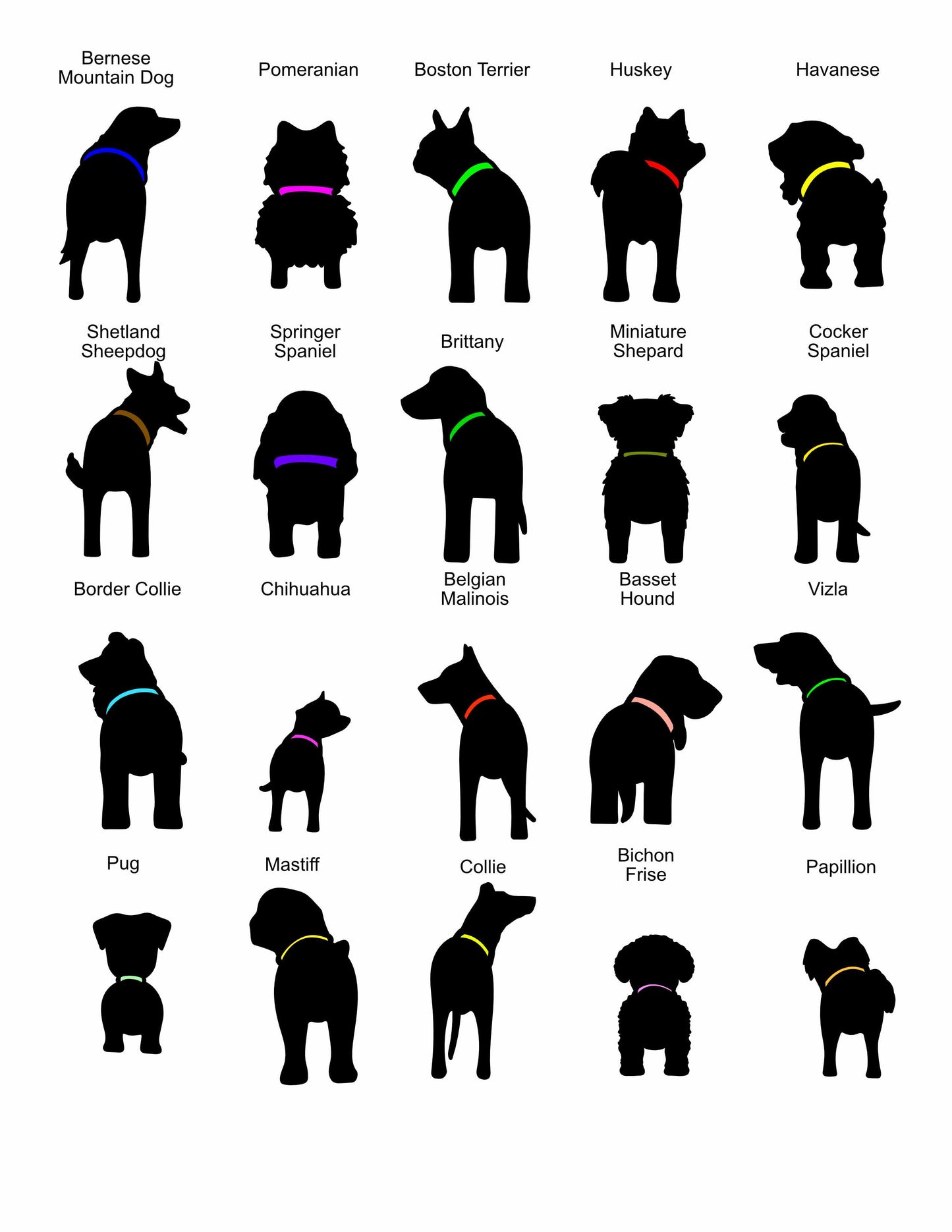 1 to 3 Dog Leash Holder - Multiple Backgrounds and Dogs to Choose