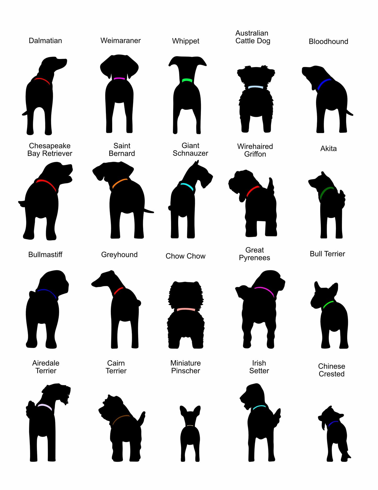 1 to 3 Dog Leash Holder - Multiple Backgrounds and Dogs to Choose