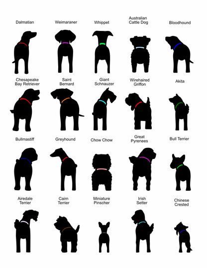 1 to 3 Dog Leash Holder - Multiple Backgrounds and Dogs to Choose